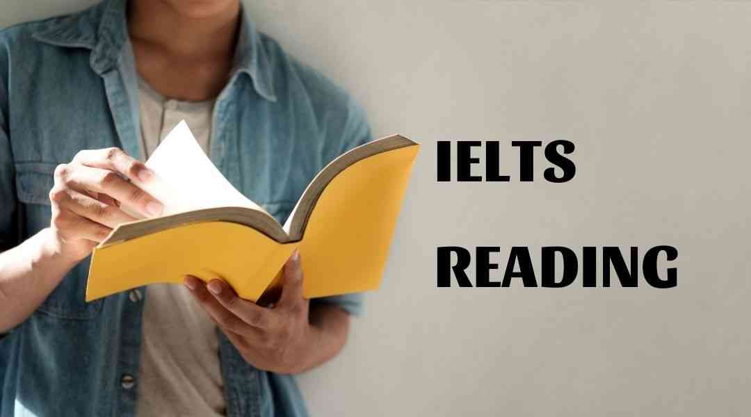 10 tips for IELTS Reading hiệu quả nhất!