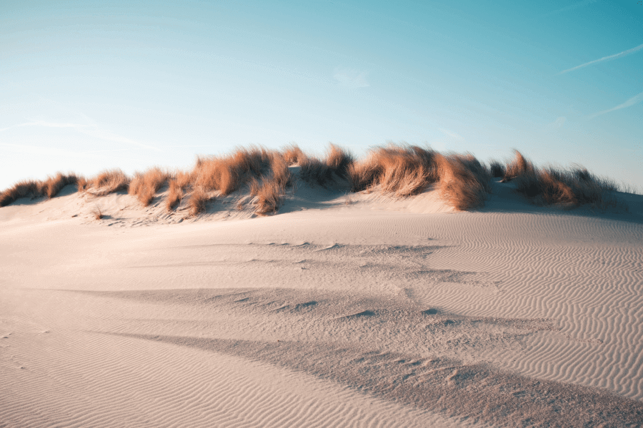 Living Dunes IELTS Reading Answers with Explanation