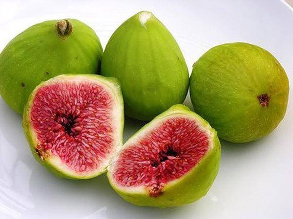 trái sung Tiếng Anh là gì