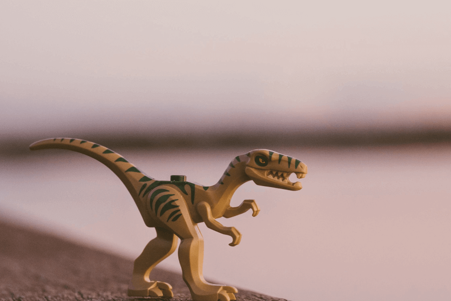 Walking With Dinosaurs IELTS Reading Answers with Explanation