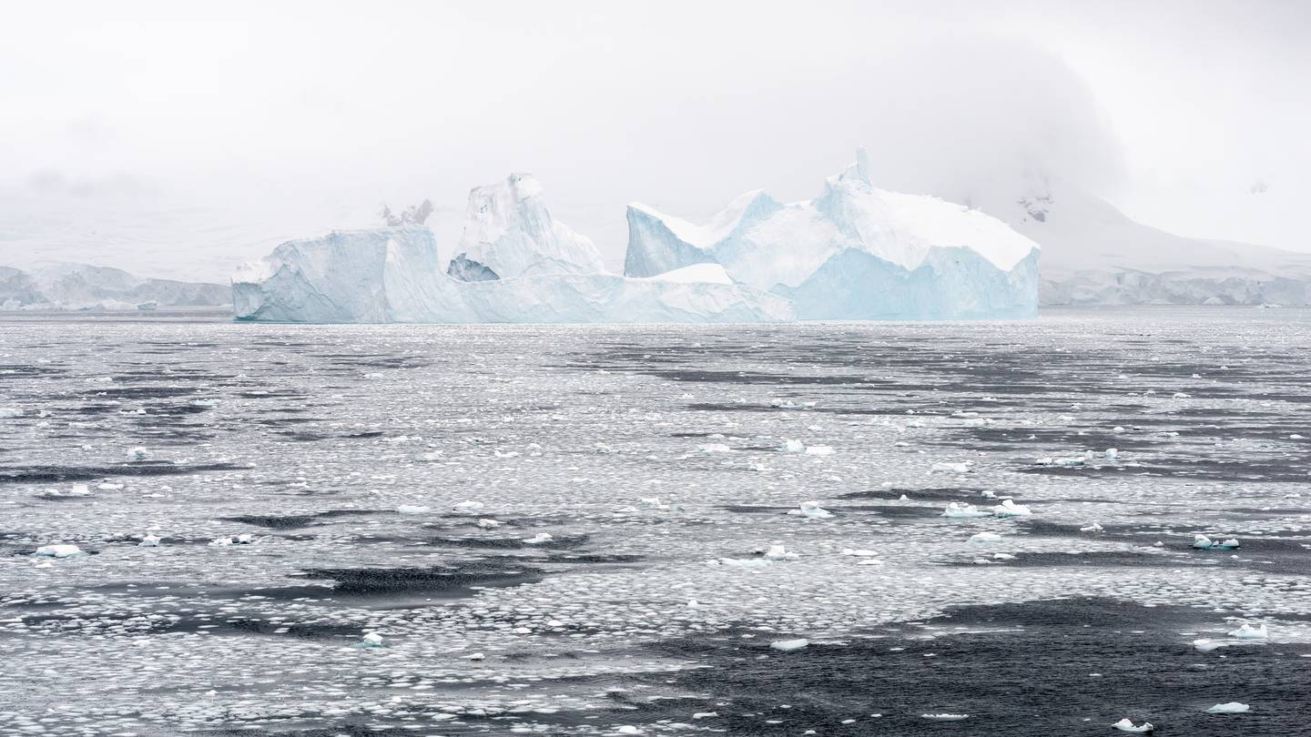Từ Vựng Bài Đọc Antarctica - In From The Cold