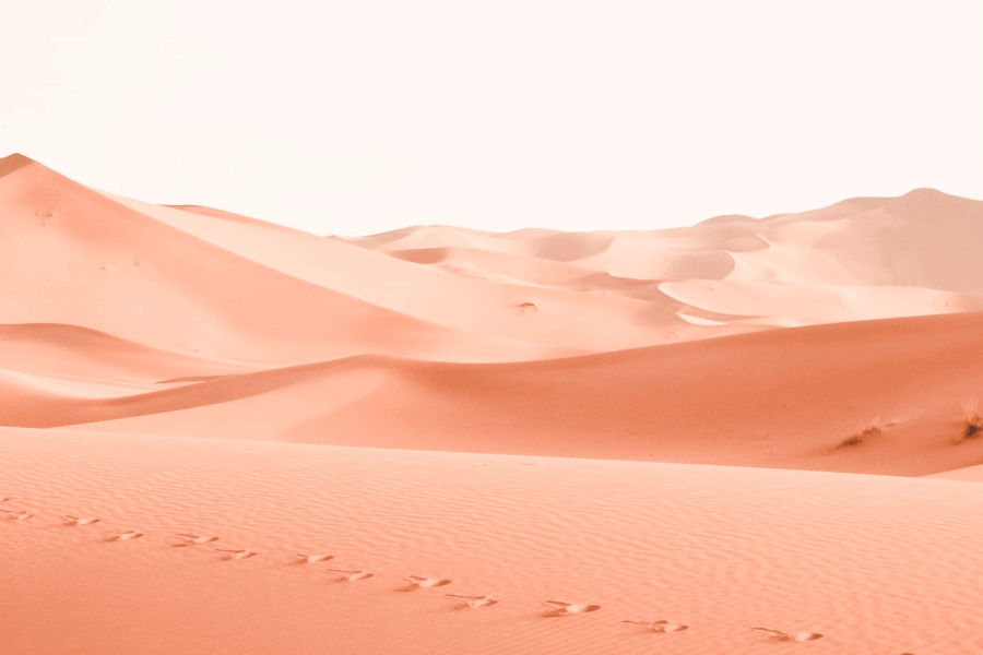 How Deserts Are Formed? IELTS Reading Answers with Explanation