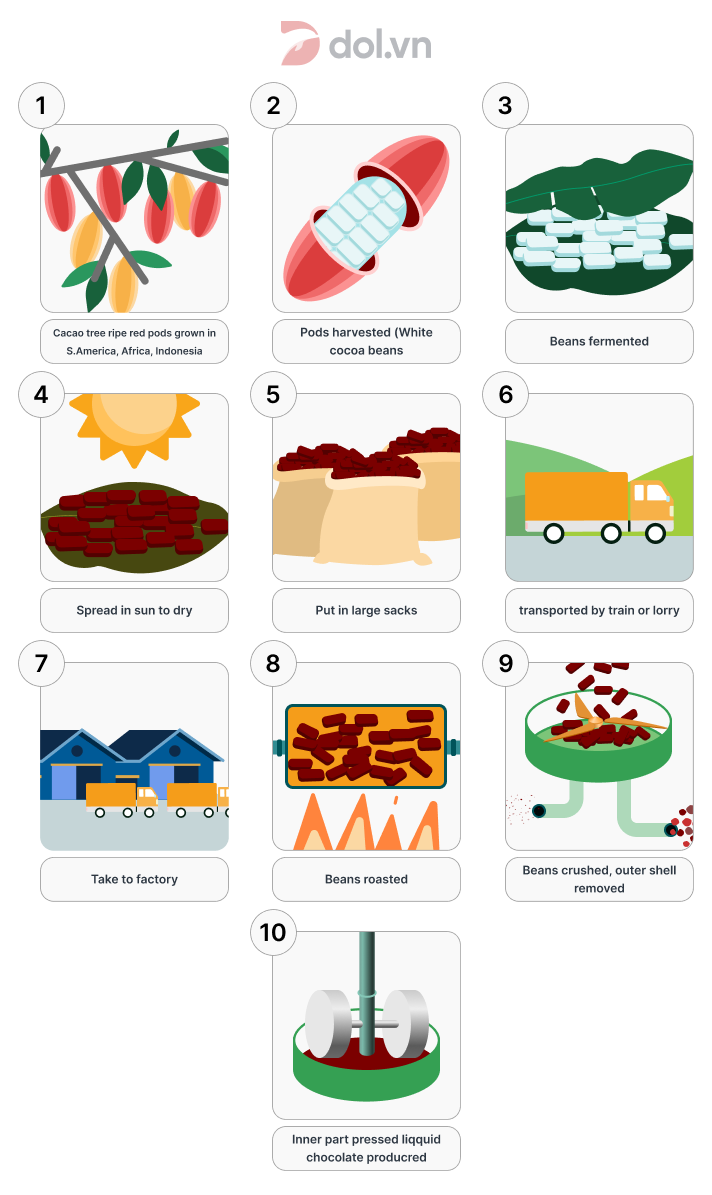 Bài mẫu IELTS Writing Task 1 Process ngày 09/01/2021 Chocolate production